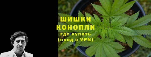 ПСИЛОЦИБИНОВЫЕ ГРИБЫ Алексеевка