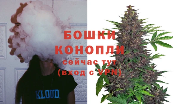 гидра Баксан